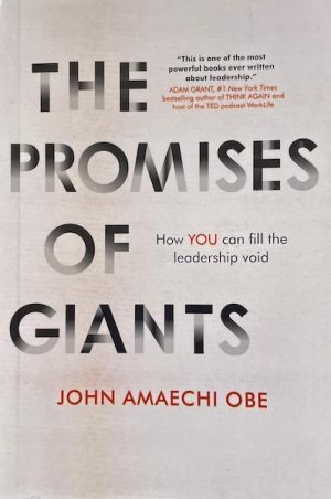 The Promises of Giants: How YOU can Fill the Leadership Void